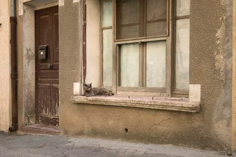 Grey cat lying in a window still of an old house in France Stock Photos
