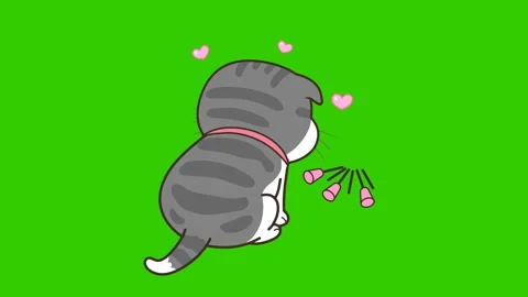 Grey Cat Playing with Spring Animation - Green Screen Stock Footage 282783437