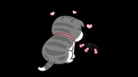 Grey Cat Playing with Spring Animation - Transparent Background Stock Footage 282783536