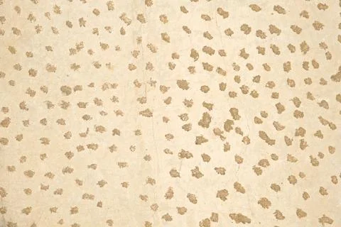 Grey cement background. Wall texture Stock Photos