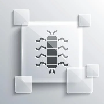 Grey Centipede insect icon isolated on grey background. Square glass panels Stock Illustration