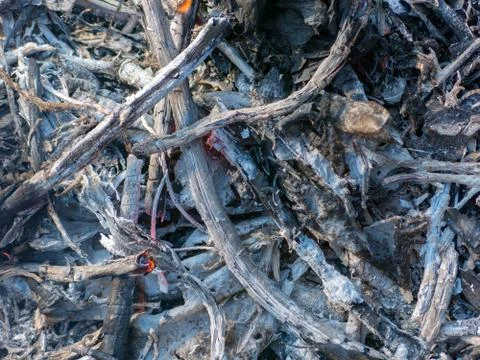 Grey charcoal pattern Stock Photos