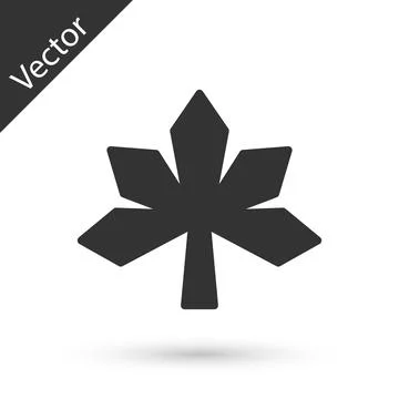 Grey Chestnut leaf icon isolated on white background. Vector Stock Illustration