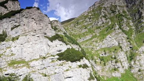 Grey cliffs with some scarce plants growing on.  Stock Footage 315448317