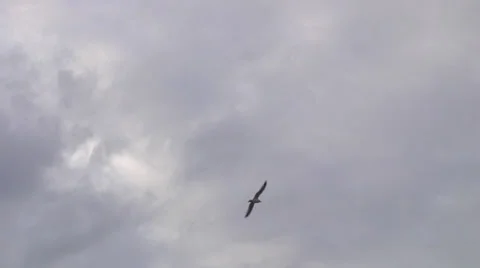 Grey clouds, 1000% Stock Footage 24425221