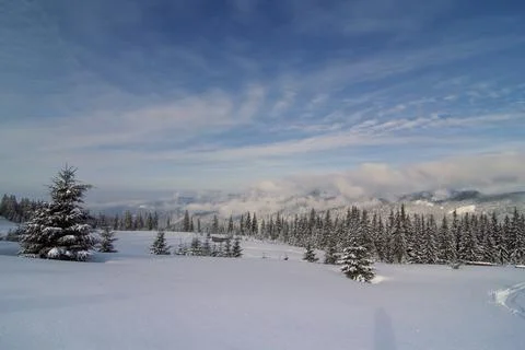Grey clouds above snowy forest landscape photo Stock-Fotos