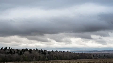 Grey Clouds in the sky above forest Stock Footage 167994727