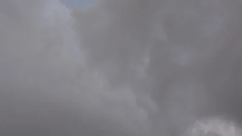 Grey clouds before tropic rain. dade palm on backgraund. Видео 120944417