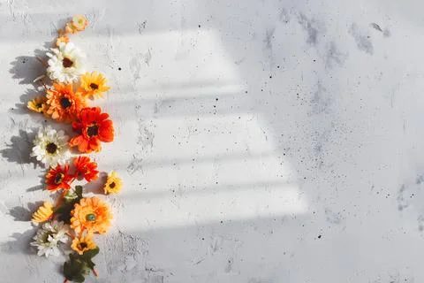 Grey concrete flat lay background with colorful autumn flower heads Foto stock