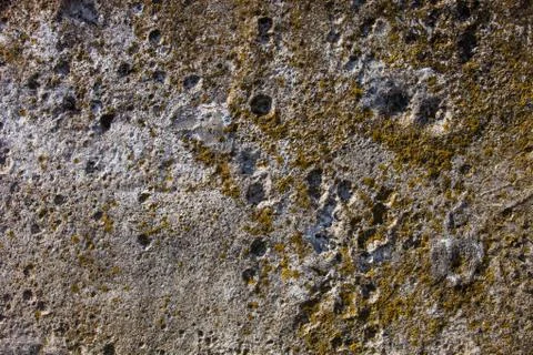 Grey concrete surface Stock Photos