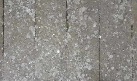 Grey concrete texture background Stock Photos