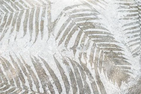 Grey concrete texture with leaf imprints Stock Photos