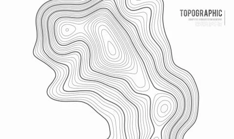 Grey contours vector topography. Geographic mountain topography vector Stock Illustration