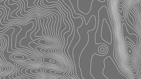 Grey contours vector topography. Geographic mountain topography vector Illustrazione stock
