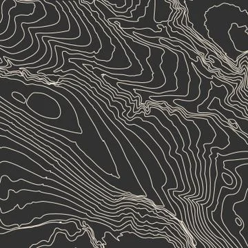 Grey contours vector topography. Geographic mountain topography vector 스톡 일러스트