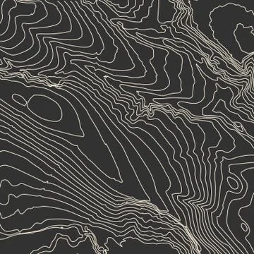 Grey contours vector topography. Geographic mountain topography vector Stock Illustration