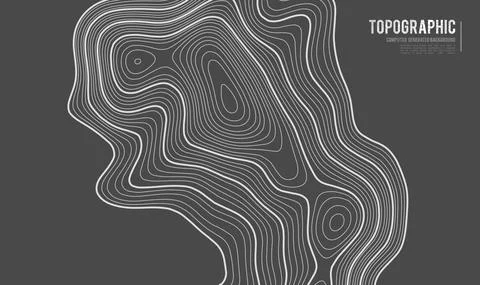 Grey contours vector topography. Geographic mountain topography vector Stock Illustration