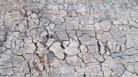 Grey crack of dried soil background texture Stock Photos