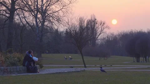 Grey crow in the park Video stock 151294575