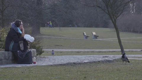 Grey crow in the park Stock-Footage 151294780