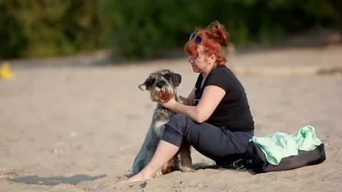 Grey dog with the hostess on the beach Stock Footage 139343532