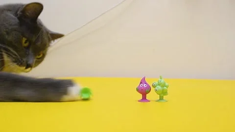 A grey domestic cat is playing with small figures on a yellow table. Stock-Footage 320573474