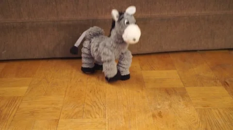A grey donkey is dancing. Stock Footage 44800772