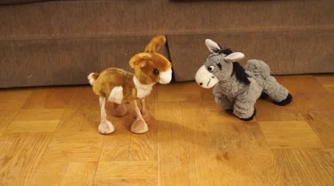 A grey donkey is dancing with a orange camel. Stock Footage 44801279