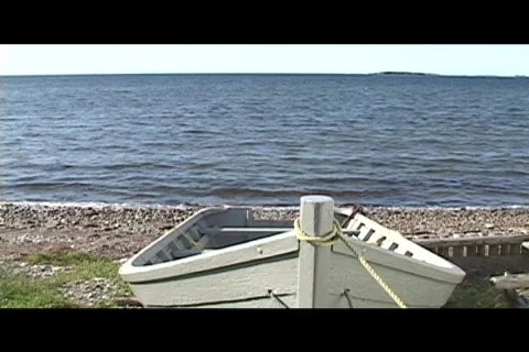 Grey Dory at Seaside Stock Footage 504603