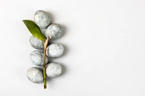 Grey Easter eggs Stock Photos
