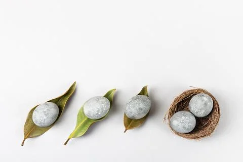 Grey Easter eggs Stock Photos