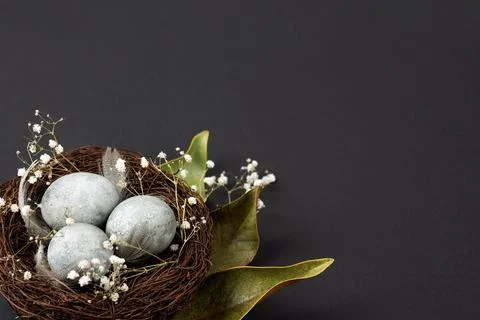 Grey Easter eggs Stock Photos