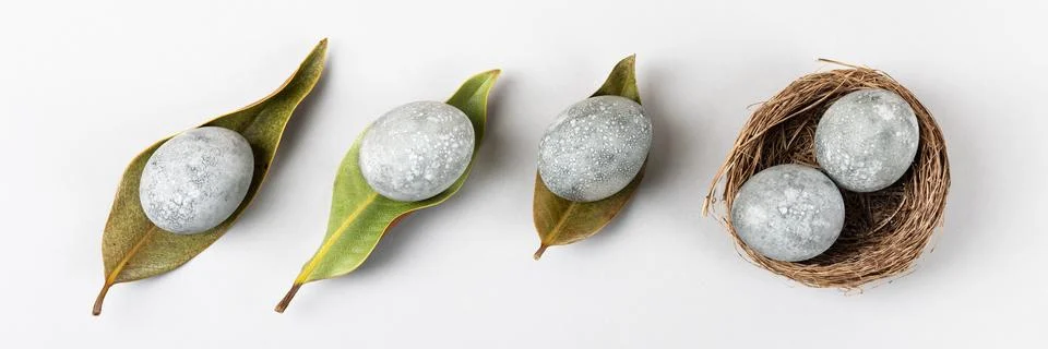 Grey Easter eggs Stock Photos