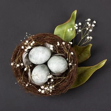 Grey Easter eggs Stock Photos