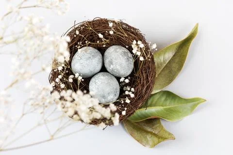 Grey Easter eggs Stock Photos