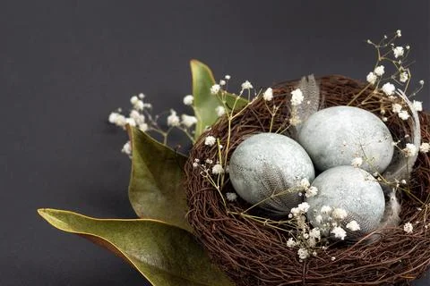 Grey Easter eggs Stock Photos
