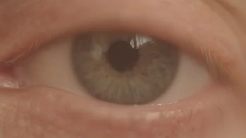 Grey eye of man looking at camera. Macro Close up Human eye iris opening pupil Stock Footage 151414265
