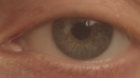 Grey eye of man looking at camera. Macro Close up Human eye iris opening pupil Stock Footage 151414959