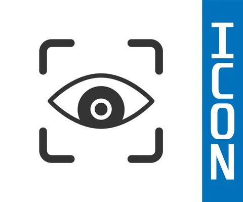 Grey Eye scan icon isolated on white background. Scanning eye. Security check 스톡 일러스트