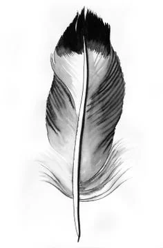 Grey feather Illustrazione stock
