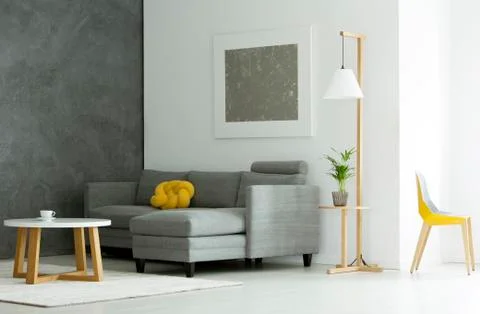 Grey flat interior with plant 库存照片