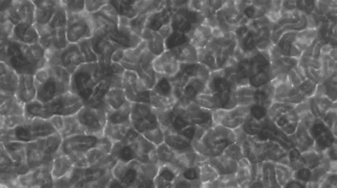 Grey Fluid Stock Footage 30850307