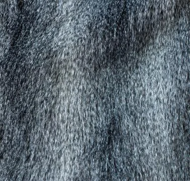 Grey fur texture Foto stock