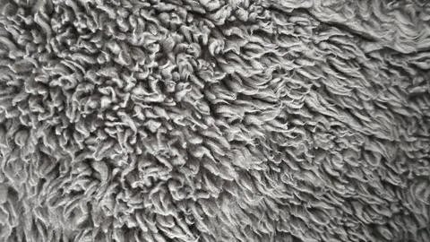 Grey Fur Texture Stock Photos