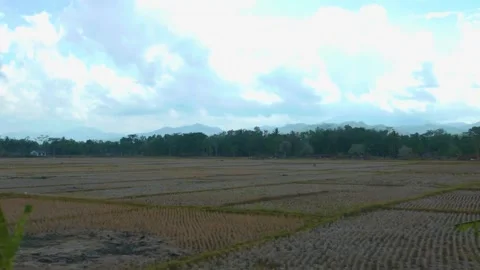 Grey Grass Stock Footage 274439610