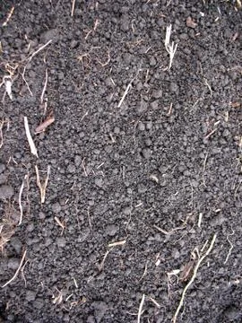 Grey ground Stock Photos