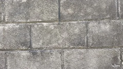 Grey Grunge Brick Wall Background Stock Footage 206345066