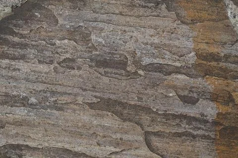 Grey grunge cement background texture. Stock Photos