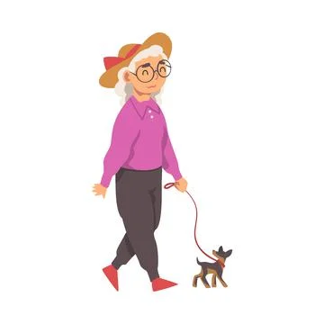 Grey-haired Grandma in Hat Walking Dog on the Leash Vector Illustration Ilustración de archivo