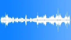 Grey Heron Calls CU Sound Effect